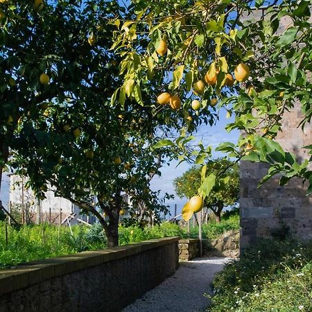 Domus Maresca Villa Sant'Agnello Eksteriør bilde