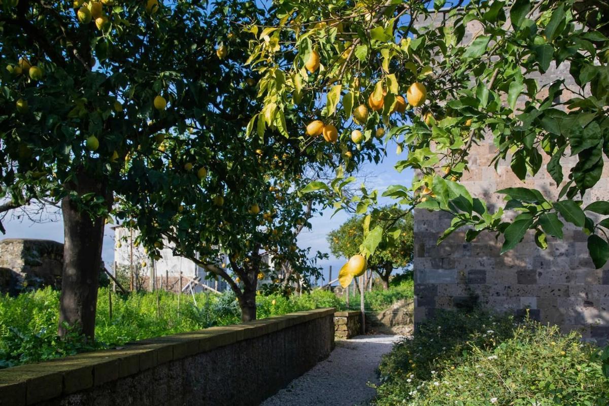 Domus Maresca Villa Sant'Agnello Eksteriør bilde